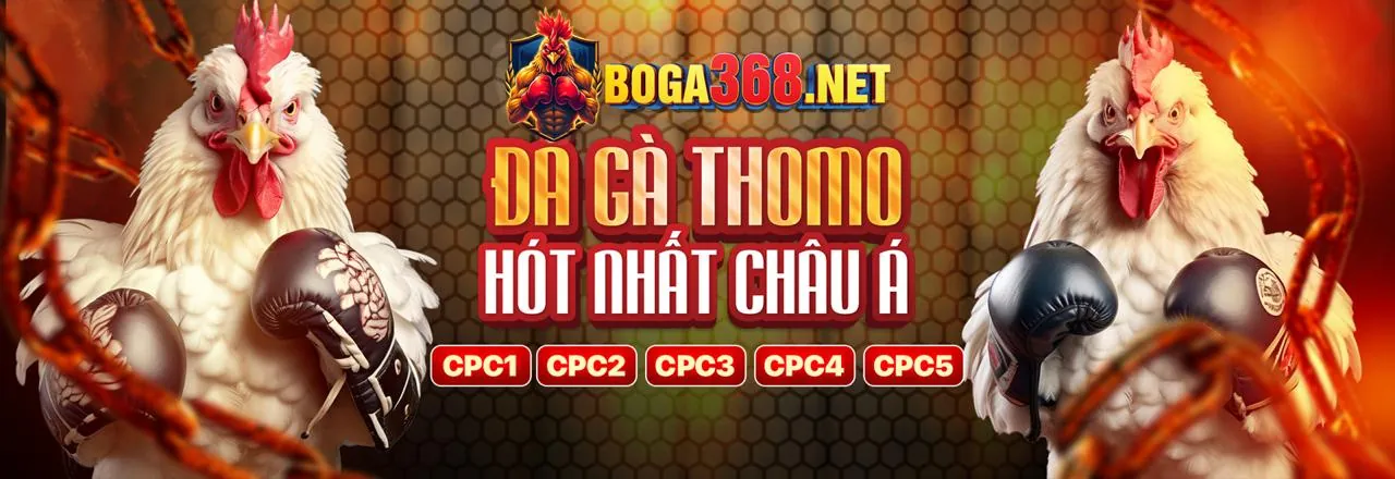 Sân Chơi Đá Gà Trực Tuyến Hàng Đầu c168c